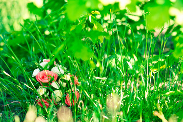 Similar image 658837