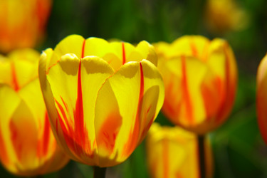 Similar image 658842