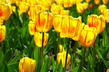 Similar image 658843