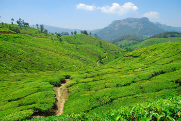 Similar image 658870