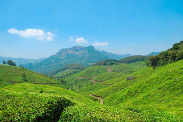 Similar image 658871