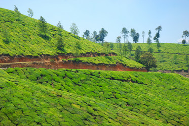 Similar image 658872