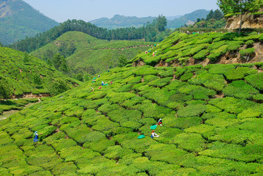 Similar image 658873