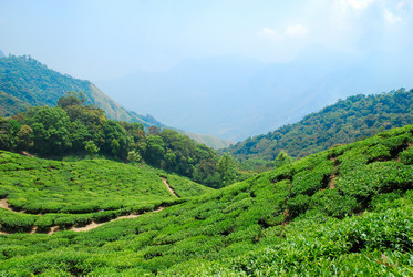 Similar image 658875