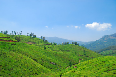 Similar image 658874