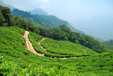 Similar image 658876