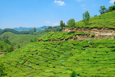 Similar image 658877