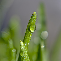 Similar image 658878