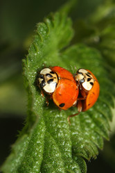 Similar image 658879