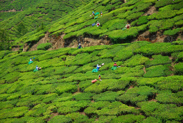 Similar image 658880