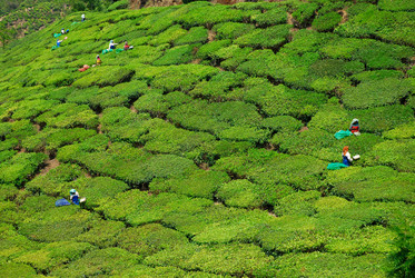 Similar image 658881