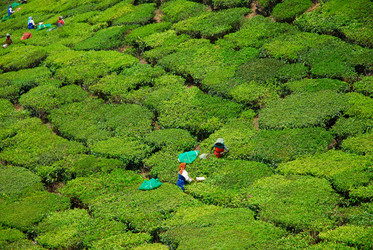 Similar image 658882