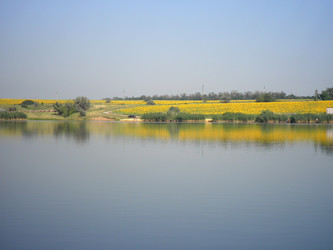 Similar image 658894