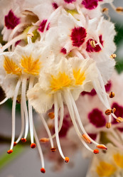 Similar image 658895