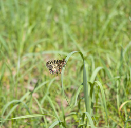 Similar image 658898