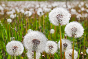 Similar image 658902