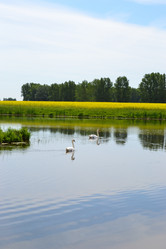 Similar image 658905