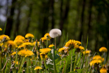 Similar image 658906