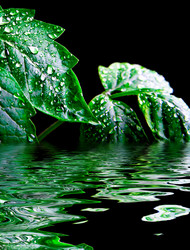 Similar image 658912