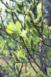 Similar image 658928