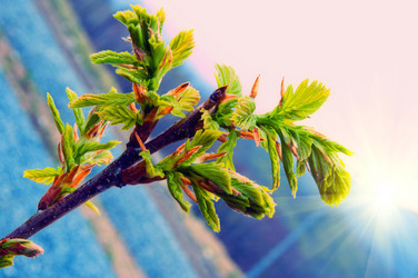 Similar image 658929