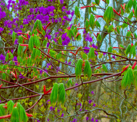 Similar image 658932