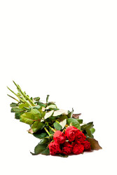 Similar image 659003