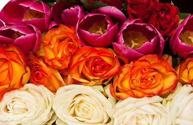 Similar image 659007