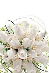 Similar image 659068