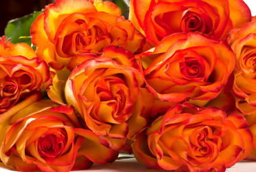 Similar image 659080