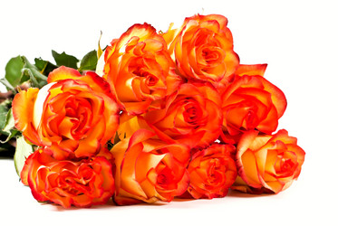 Similar image 659098