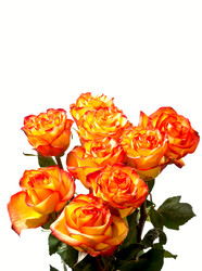 Similar image 659101