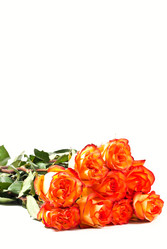 Similar image 659102