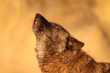 Similar image 659148