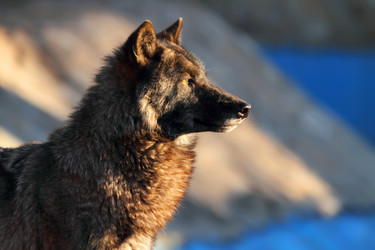 Similar image 659150