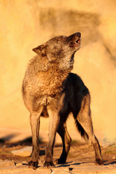 Similar image 659151