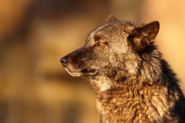 Similar image 659152