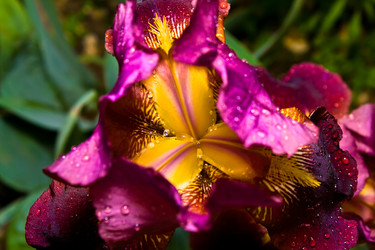 Similar image 659169