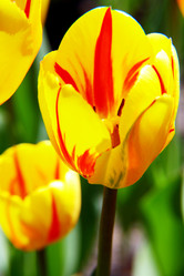 Similar image 659214