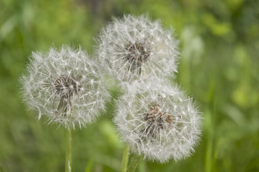 Similar image 659288