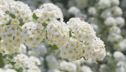 Similar image 659290