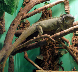 Similar image 659306