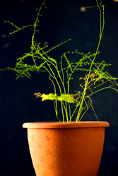 Similar image 659315