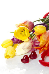 Similar image 659339