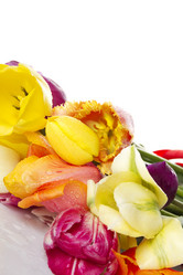 Similar image 659346