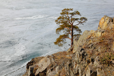 Similar image 659391