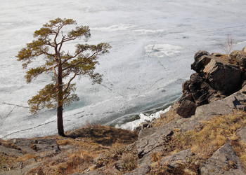 Similar image 659392