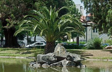 Similar image 659396