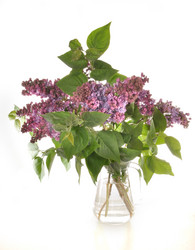 Similar image 659401