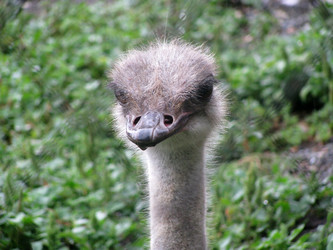 Similar image 659426